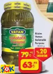 BİZİM VATAN SALATALIK TURŞUSU 3000 G